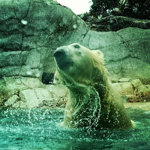 marclubin_au's profile picture. Tweet like nobody's watching.