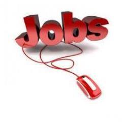 ribes1949's profile picture. 