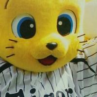 三重虎命T・4/25・26・5/9・10参戦。 (@toratorayade) 's Twitter Profile