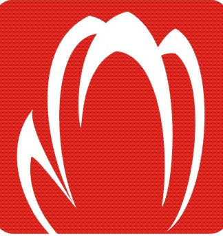 TulbiSpordiklub's profile picture. 