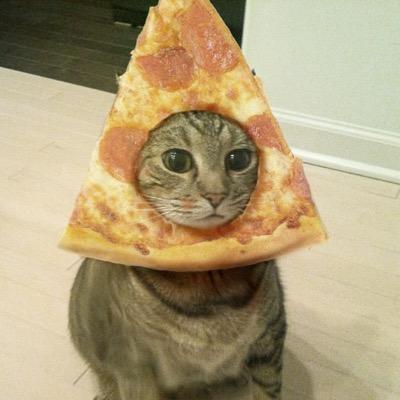 daniellepitt15's profile picture. who da fuq is danielle pitt ?