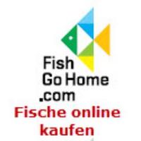 Fish Go Home (@fish_go_home) Twitter profile photo