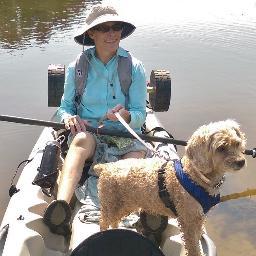 msruscetta's profile picture. 