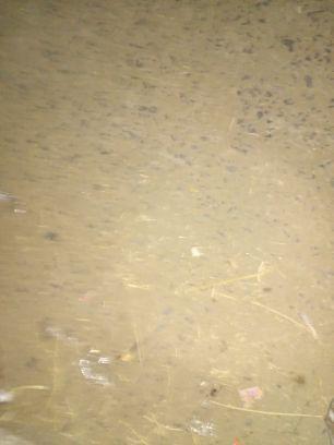 nk_bennett's profile picture. 