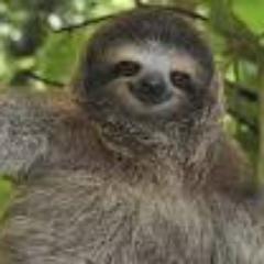 CajthamlPavel's profile picture. 