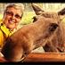 Elaine Nystrom (@nystrom_elaine) Twitter profile photo Elaine Nystrom (@nystrom_elaine) Twitter profile photo