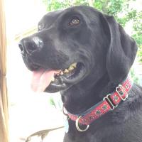 jack kilrea (@jkil19) 's Twitter Profile