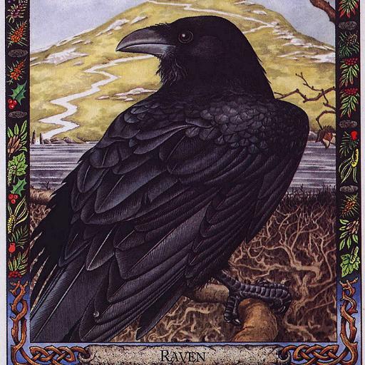 The_Celtic_Ram's profile picture. 