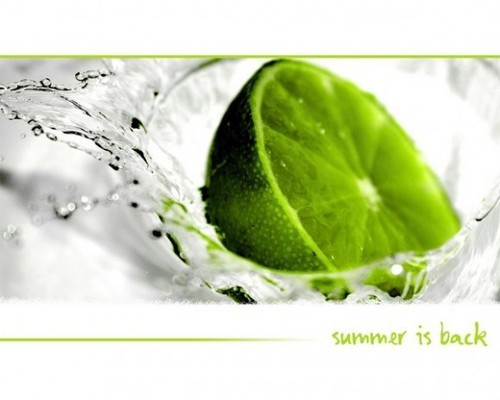 darknoryx's profile picture. 