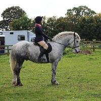 Becky Andrew (@becky96ysj) 's Twitter Profile