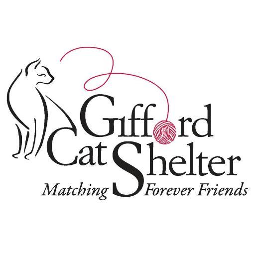 We're the cats of Gifford Cat Shelter. Our temporary home is the oldest U.S. free-roam, no-kill cat shelter (founded in 1884). Looking for our forever homes.