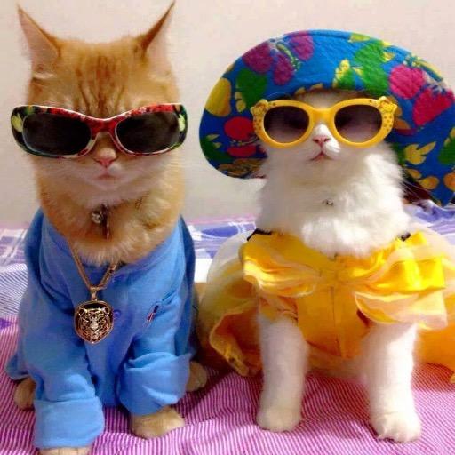 EllyEthno63's profile picture. ... If you want the rainbow, you gotta put up with the rain.