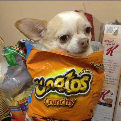 ajdaugherty35's profile picture. together we stand divided we fall