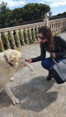 Elena_CM23's profile picture. Licenciada en Derecho. Redactora en https://t.co/4Wl1PXNxT7