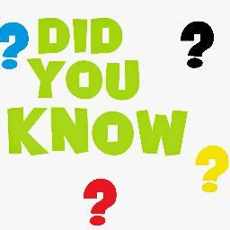 Factoidals's profile picture. 