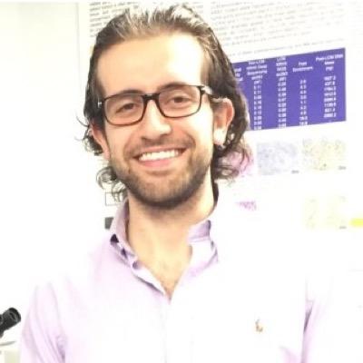 pcom530_nick's profile picture. 