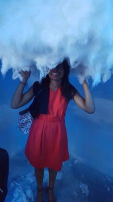 InRozLand's profile picture. Novice Teacher; 
Life-Long Learner