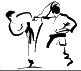 The ultimate aim of Karate lies not in victory or defeat, but in the perfection of character of its participants.
(Master Gichin Funakoshi)