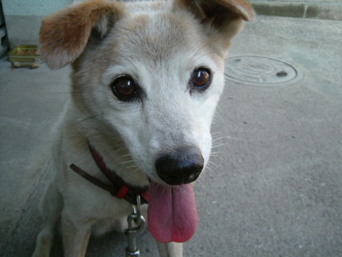 wattunco10akari's profile picture. 娘が車でAimerさんの曲を口ずさんだ時は幸せな時間🚐
思春期の娘と私を繋げているのは音楽。
野球観戦やるのも好き。

Aimerさん好きな方の
フォローありがたいです🐢