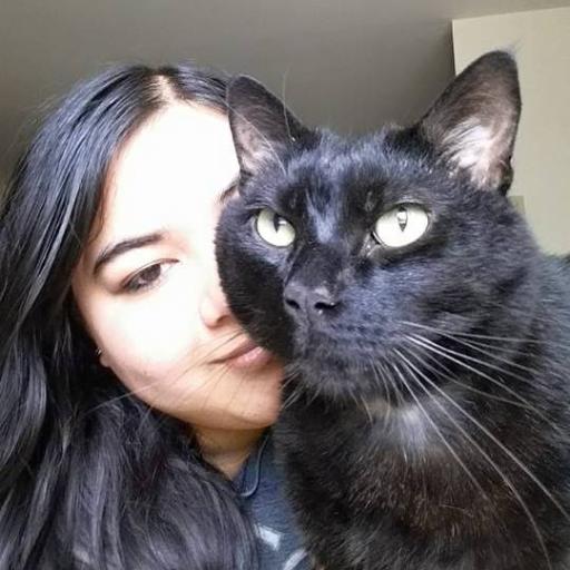 RavenBCWM's profile picture. Thinker, dreamer, cat mom