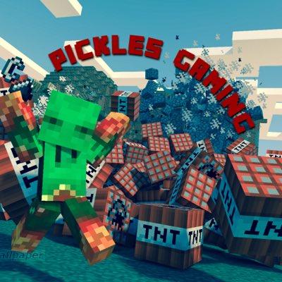14 - Youtuber - Minecraft Gamer - 1k+ subs - xxTASTYPICKLExx