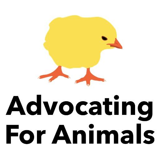 StKatesAFA's profile picture. Advocating for Animals at @StKate