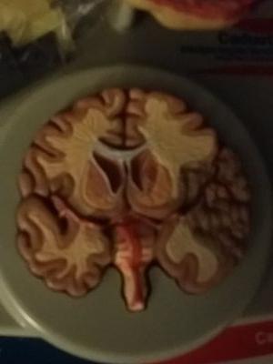 usabilitytest1's profile picture. 