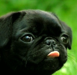 h_quest's profile picture. やりたい事、したい事、すべき事、全てやる。それだけです。でも出来る事は限られる。。。    ★無言フォロー失礼します。