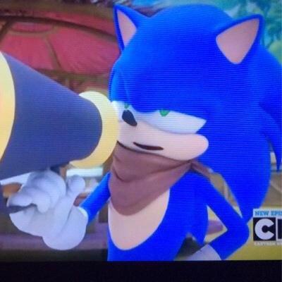 hi i am sonic my sister is sonia and my brother is manic #taken @AmyRoseCute1