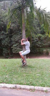 cassneves's profile picture. saia daqui imediatamente
letterboxd: casn
bluesky: cassneves