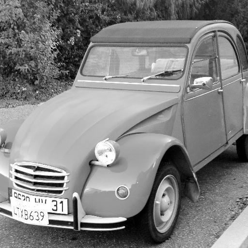 Rouge_Lanterne's profile picture. 