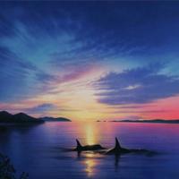 Captivity Sucks (@captivitysucks) 's Twitter Profile