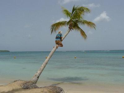 PaoliniSylvain's profile picture. 