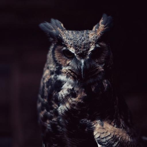 ThelmaJay's profile picture. Network Engineer. A geek for sure! But above all a big dreamer!

http://t.co/uVbTOSfbsQ | http://t.co/nCcwwTPM64