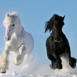 sulaimanshari19's profile picture. 