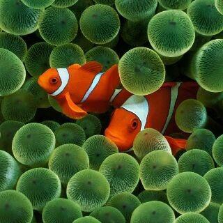 WTjair's profile picture. 