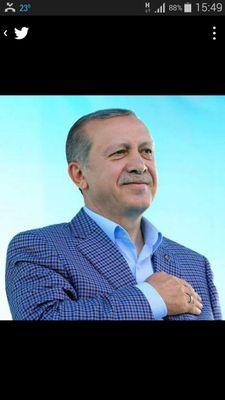 AK PARTİLİ