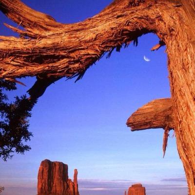 bab0825's profile picture. 