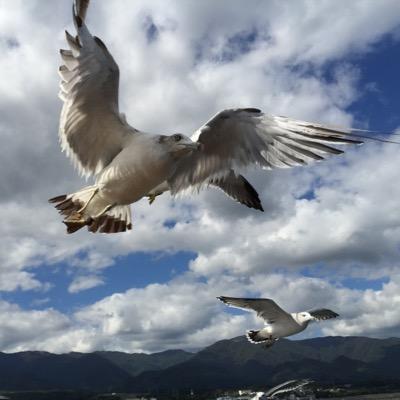 elanvital75's profile picture. 鬼ヶ島〜♬ | 好きな音楽家: 青葉市子| 子育てに奮闘中
