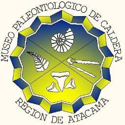 Institución publica enfocada en generar identidad local y fomentar la puesta en valor del patrimonio fósil de Caldera, Región de Atacama.