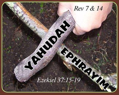 k9_Gulf's profile picture. * Set Apart Daughter of Yahuah *         *Love Torah Life*