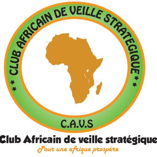 VeilleAfricaine's profile picture. 