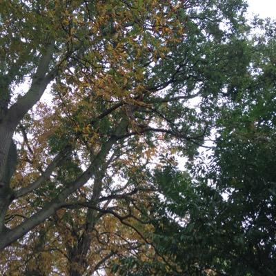 raaar83's profile picture. 