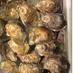 Hayes Oyster Company (@hocgr8oysters4u) Twitter profile photo Hayes Oyster Company (@hocgr8oysters4u) Twitter profile photo