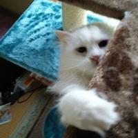 marin(CS) (@again1777) 's Twitter Profile