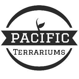 ↟ Bringing the outdoors in. ↟ DIY Terrarium Kits