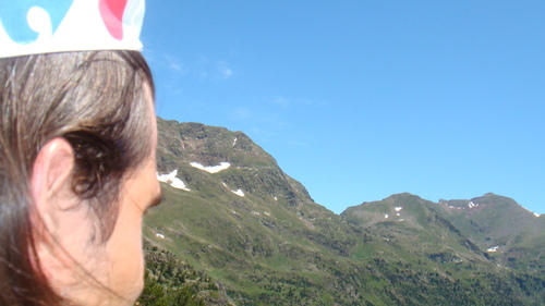 steffkorte's profile picture. 