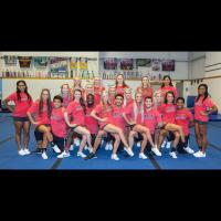 MartinMethodistCheer (@methodist_cheer) 's Twitter Profile