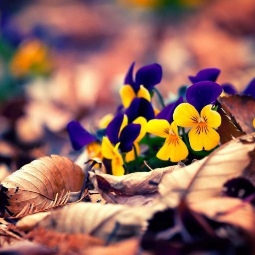 afrozaahmedcla1's profile picture. 