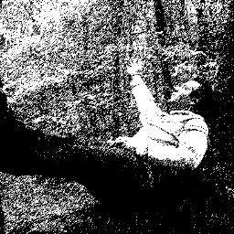 HDahmardeh's profile picture. 